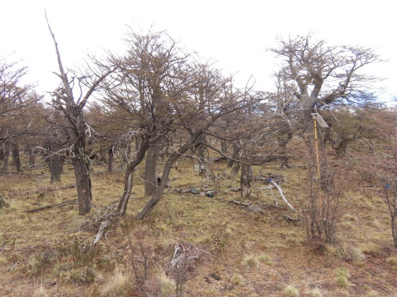 (Nodo Patagonia-S) Estación Pliegue Tumbado (PT) - Santa Cruz