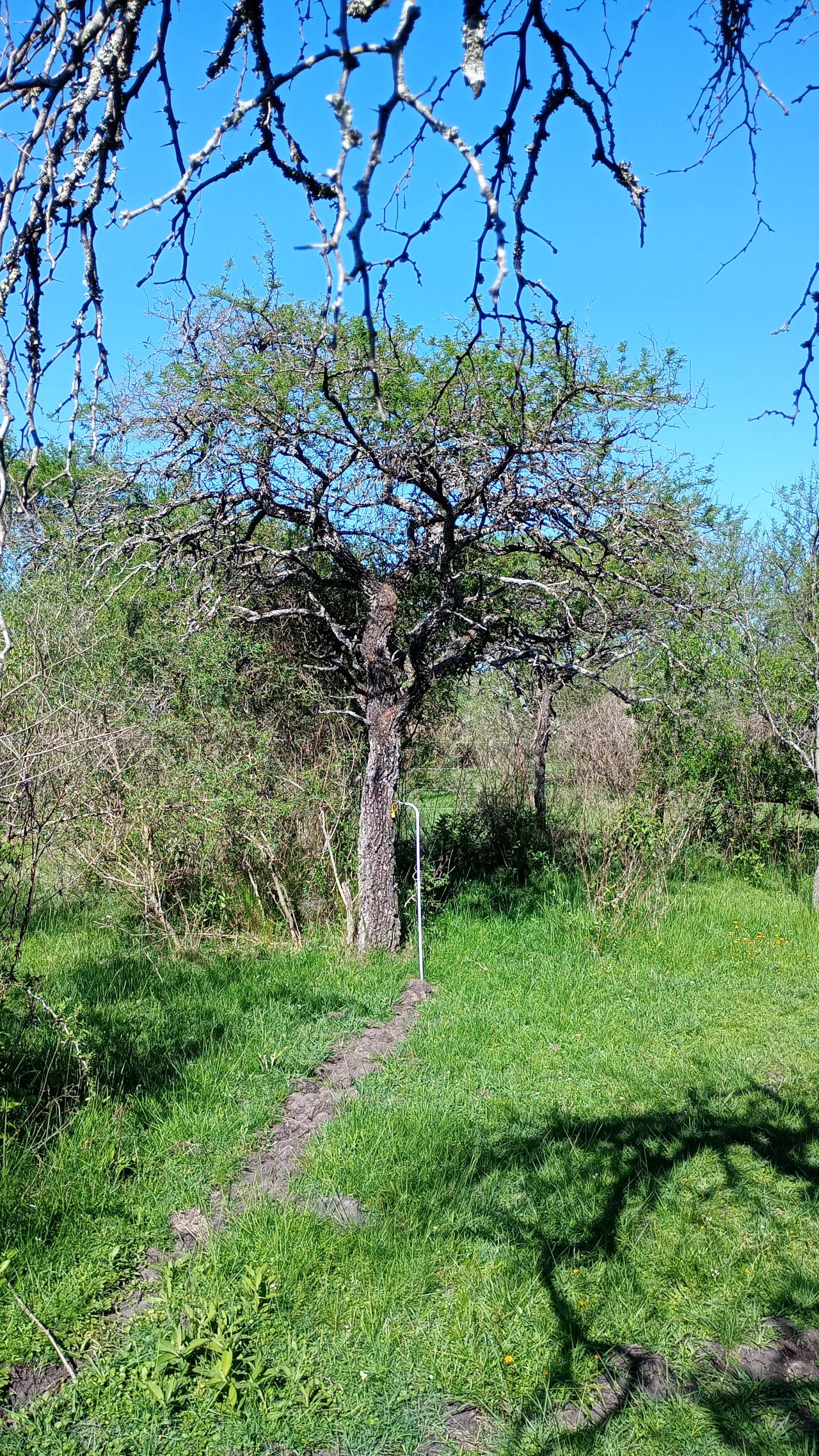 Foto 6