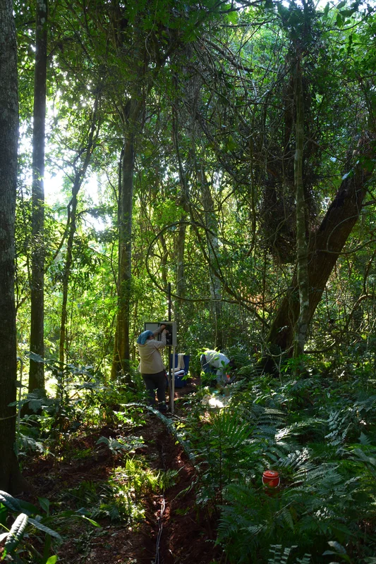 (Nodo NEA) Estación Parque Nacional Iguazu (PNI) - Misiones