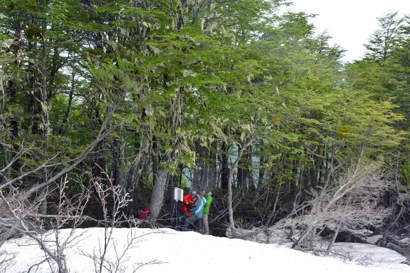 (Nodo Patagonia-N) Estación Almohadilla - Río Negro