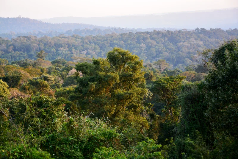 (Nodo NEA) Estación Reserva Guaraní (RG) - Misiones