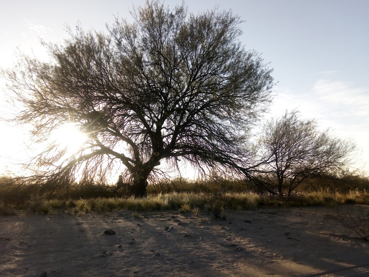 Monte central argentino, Región Centro de monitoreo