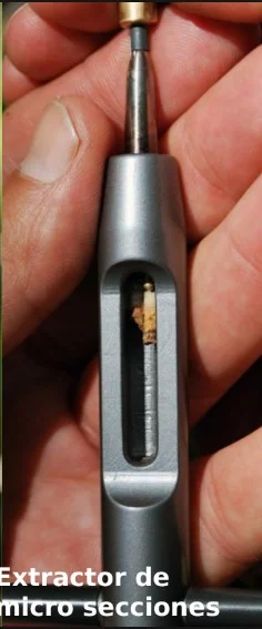 Toma de micromuestras del leño con barreno