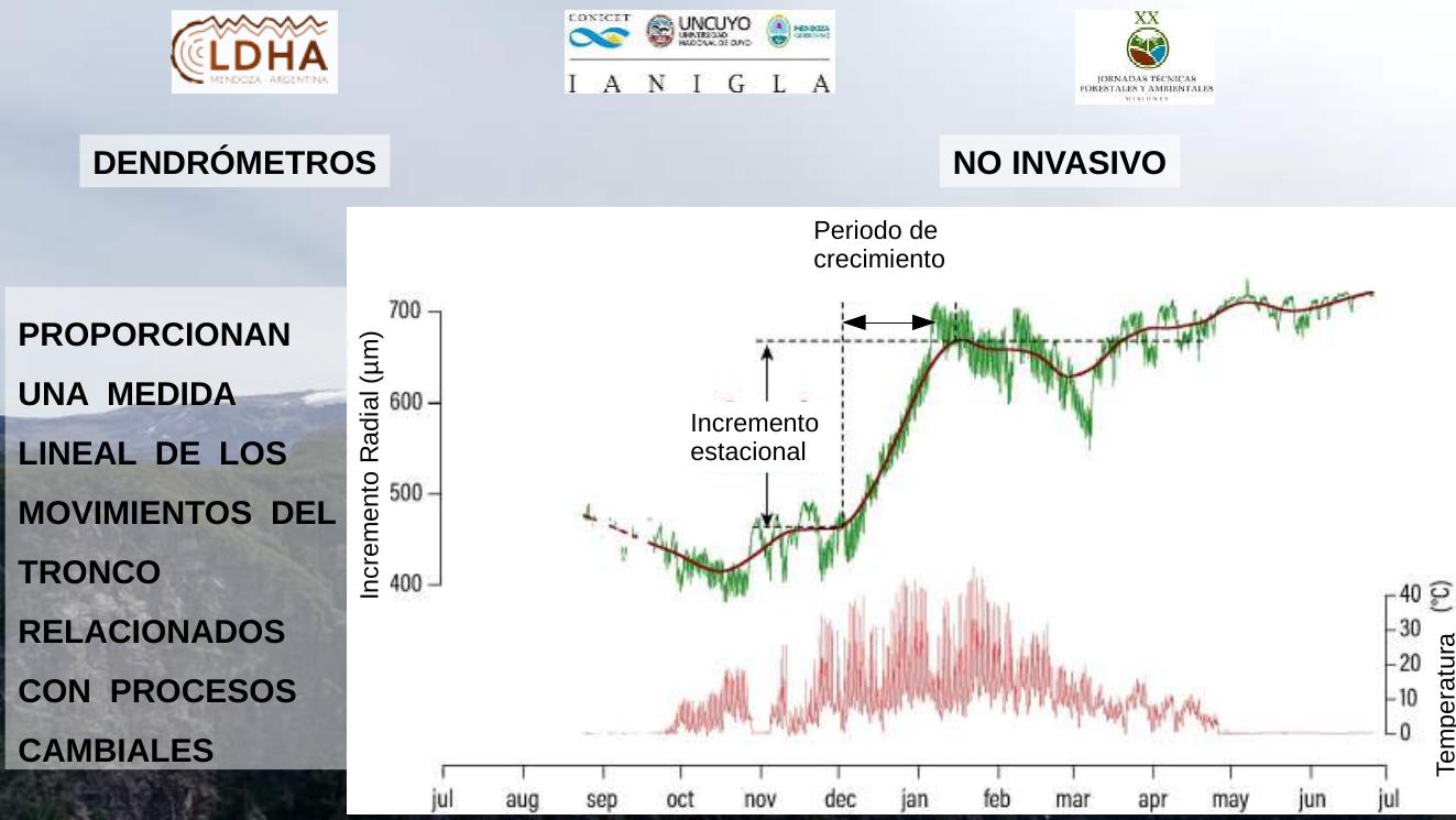 Diapositiva sobre dendrómetros y medición del crecimiento radial