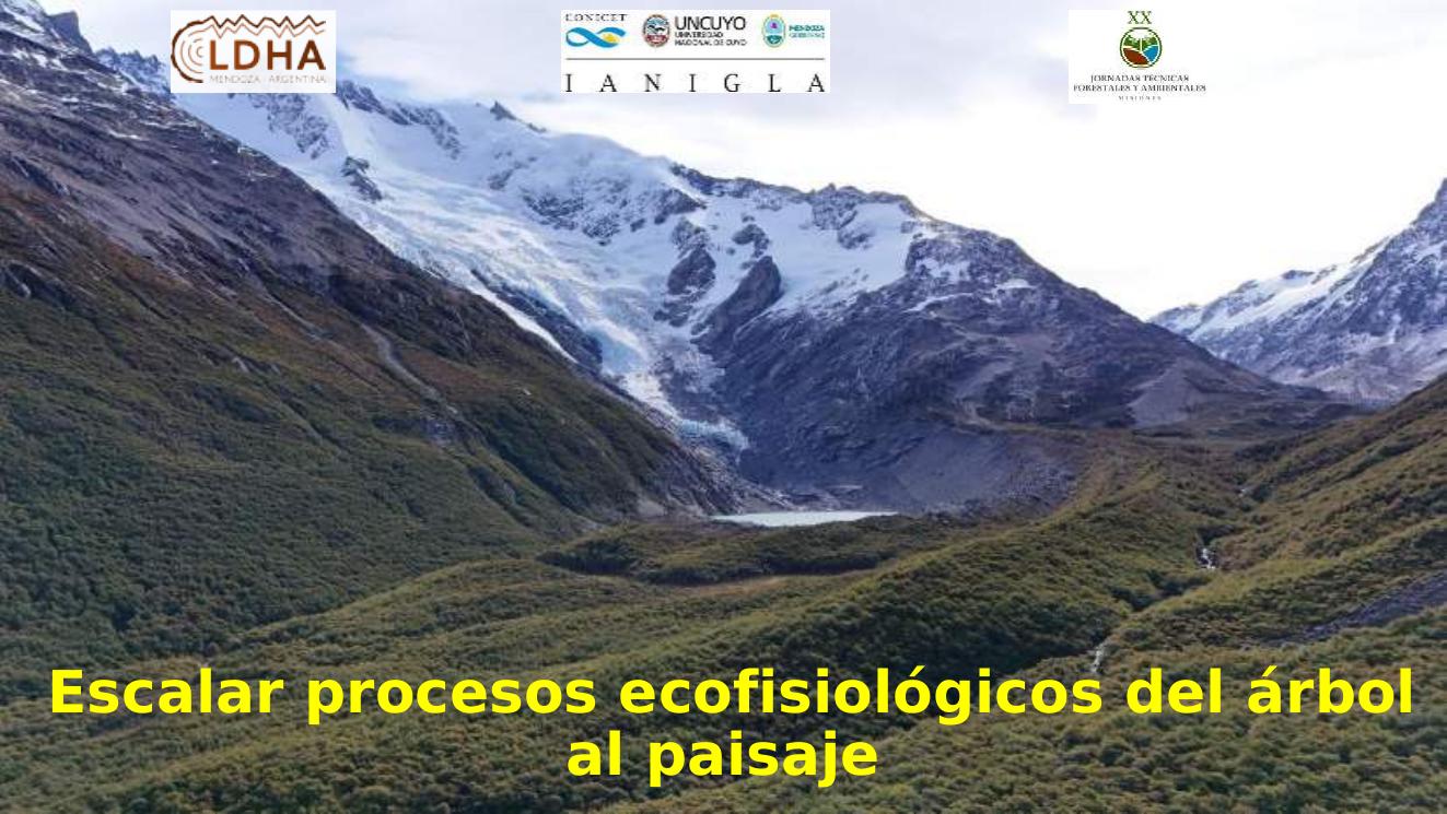 Diapositiva sobre escalamiento de procesos ecofisiológicos del árbol al paisaje