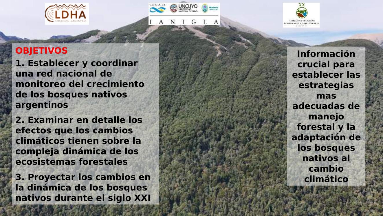 Diapositiva con objetivos de la Red Federal Bosque y Clima