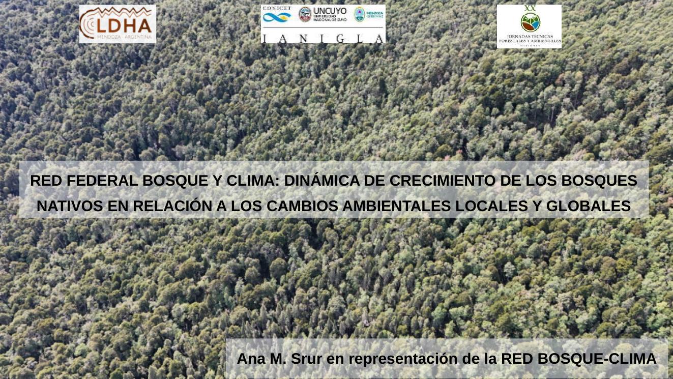 Portada de la presentación Red Federal Bosque y Clima de Ana Srur