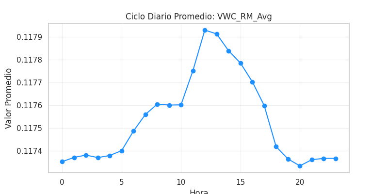 Ciclo diario VWC_RM_Avg