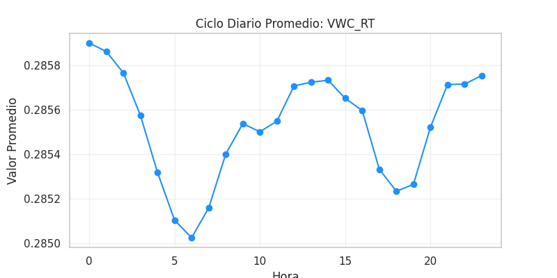 Ciclo diario VWC_RT